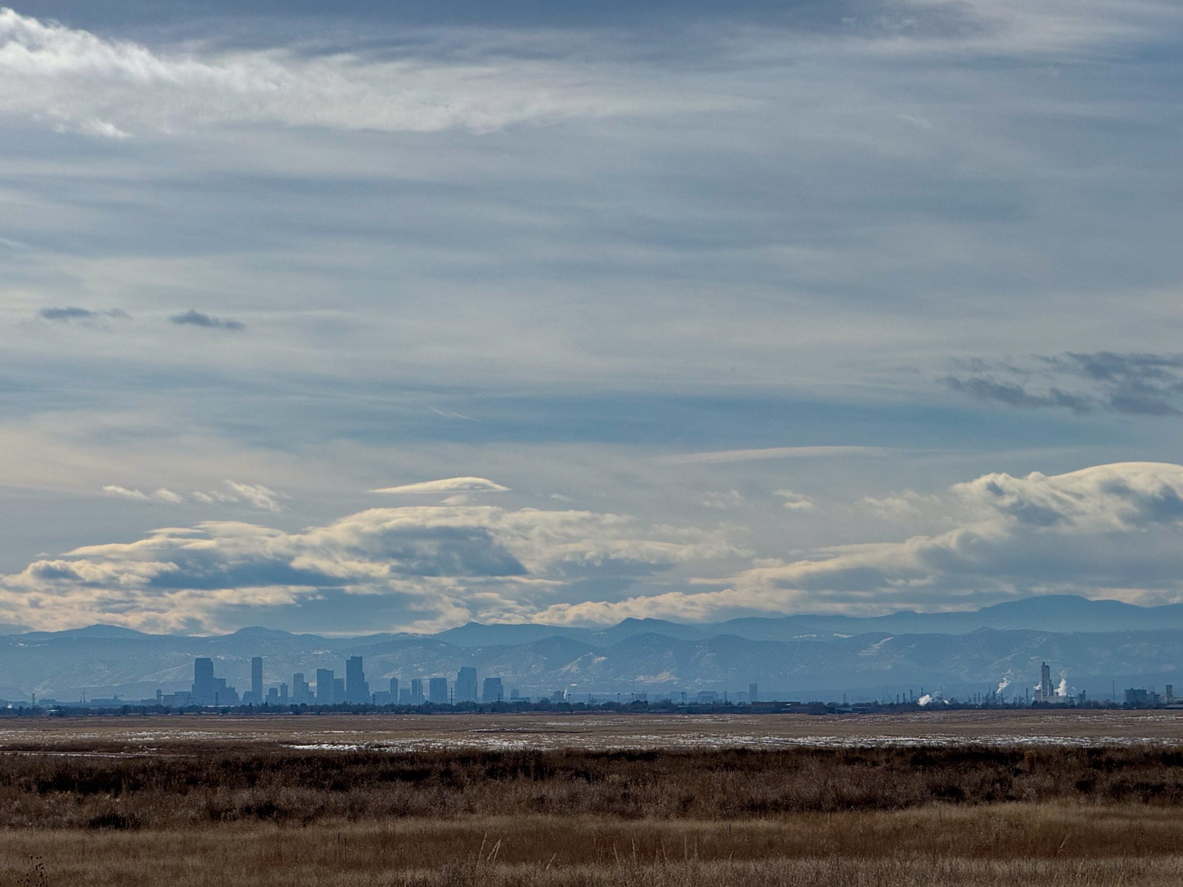 Downtown Denver skyline with the snow-capped Rocky Mountains behind it, seen from the plains north of the city